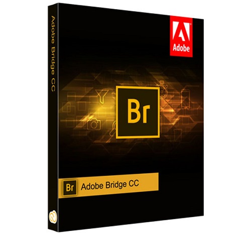 Adobe director 12 download